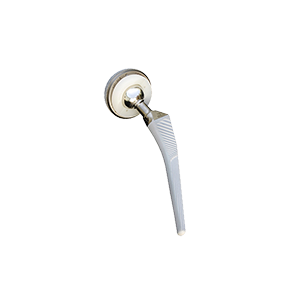 髋关节（生物型）